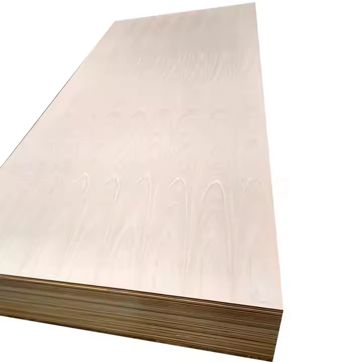 _20241108160655